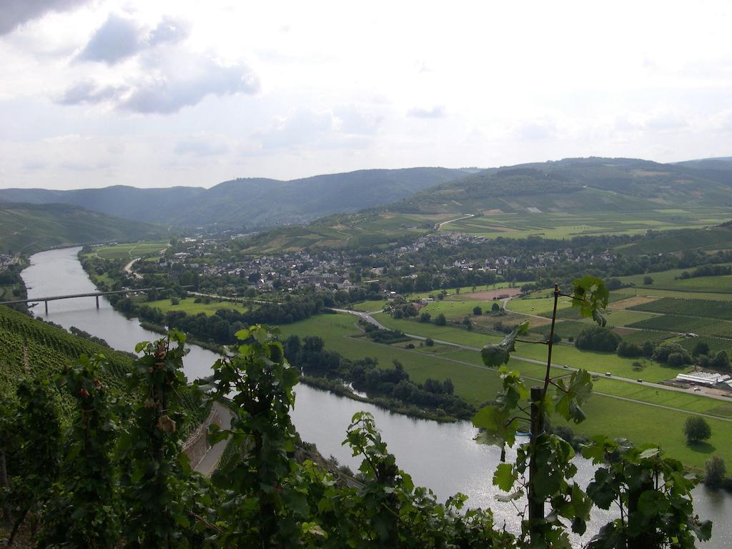 Juffer Flair Restaurant Gaestehaus Brauneberg Rum bild