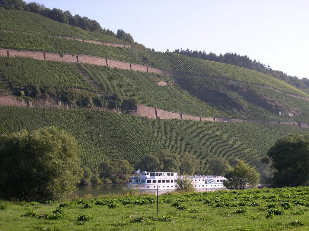 Juffer Flair Restaurant Gaestehaus Brauneberg Exteriör bild